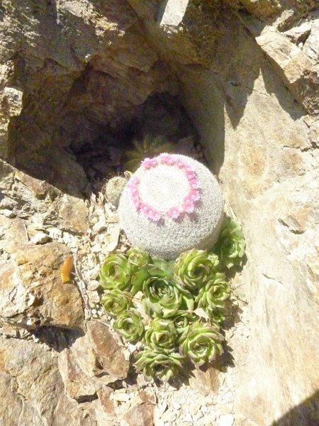 P1020863 [1600x1200].JPG